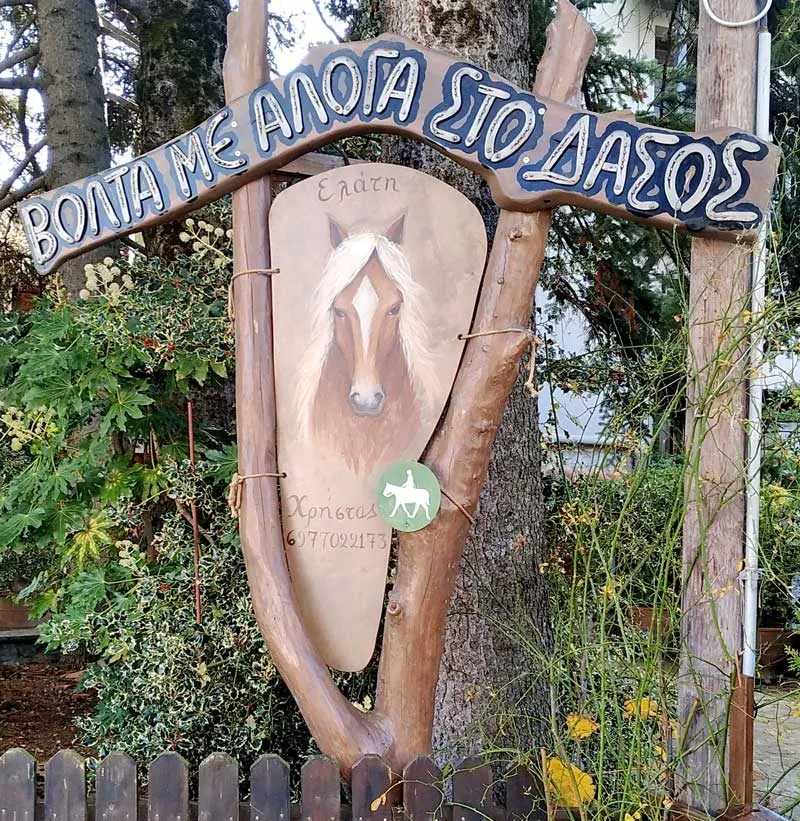 Σκαλιστή ξύλινη ταμπέλα «Βόλτα με άλογα στο δάσος»